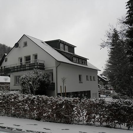 Ferienwohnung Haus Kloosterman Winterberg Exteriér fotografie