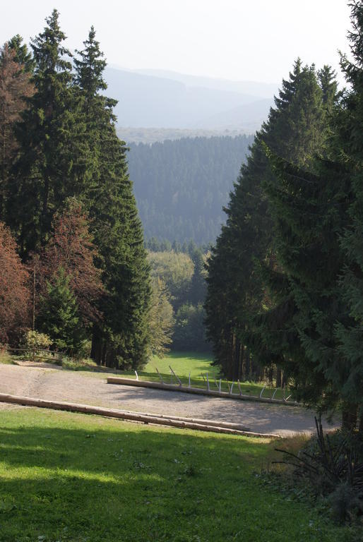 Ferienwohnung Haus Kloosterman Winterberg Exteriér fotografie