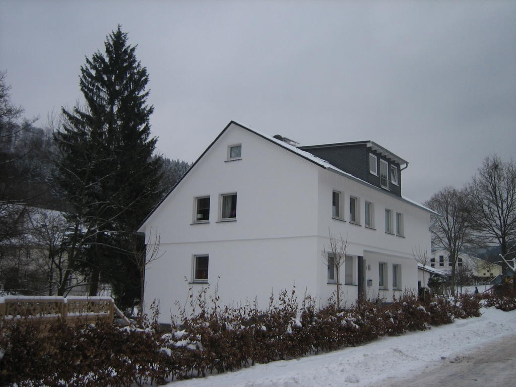 Ferienwohnung Haus Kloosterman Winterberg Exteriér fotografie